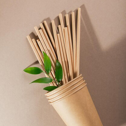 April Fair Delhi-Cane, Bamboo, Paper & Eco-friendly Products